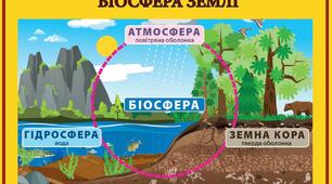 Діагностична робота з теми: "Біосфера Землі"