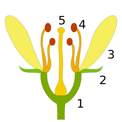 0400y6el-1687-390x390.png