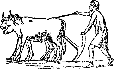 0400y76x-fbb2-400x242.png