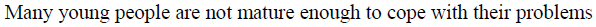 0400yc0a-5196-596x27.png