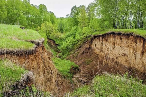 Сонник яр: до чого сниться і що означає сон про яр