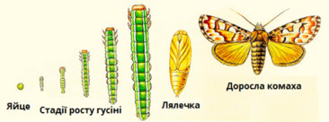 0400yjv2-d244-366x136.png