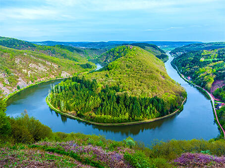 Петля Саар