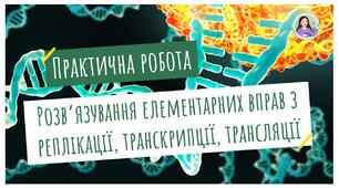 9 клас Практична робота №2