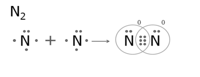 0400yncg-72e6-400x155.png