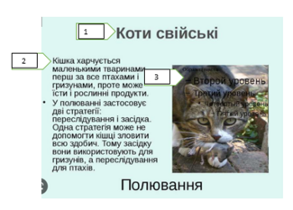 0400ynng-3635-325x233.png