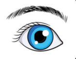 0400yocb-2061-156x121.png