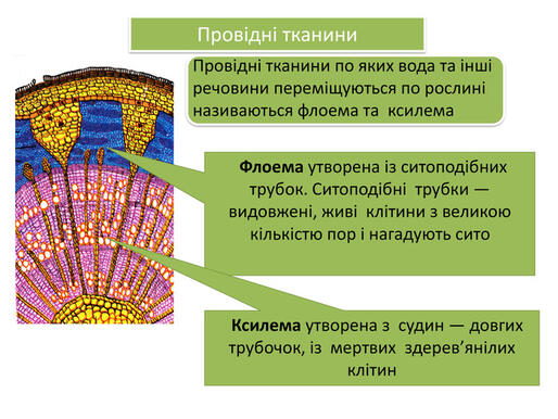 0400yrmz-4be0-514x386.jpg