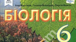 Будова кореня