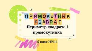 Прямокутник. Квадрат. Периметр квадрата і прямокутника 5 клас НУШ (Розв'язування вправ) 