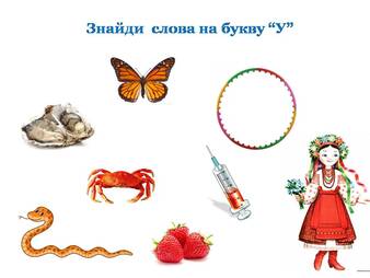0400yxzy-d346-338x254.jpg