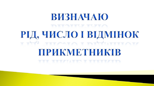 Визначаю рід, число і відмінок прикметників