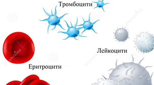 Лабораторна робота «Мікроскопічна будова крові людини»