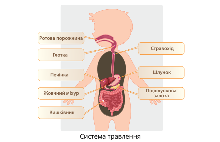 0400z29x-6199-711x457.png