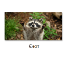 0400z52z-3bfd-130x119.png