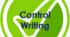 Control Writing I semester Form 8