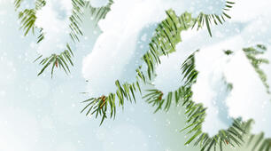 14.12.2022