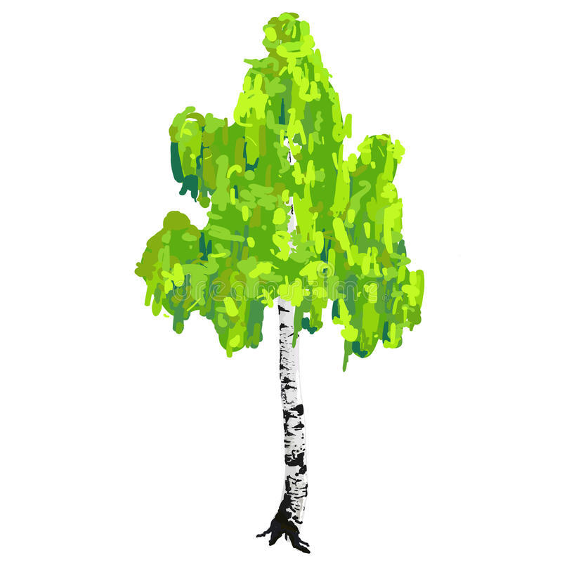 0400z8qa-6079-800x800.jpg