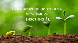 Рослини