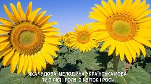 Не з дієприкметниками.