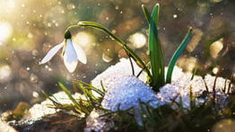 0400zfkg-5215-262x148.png