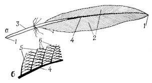 0400zgl2-c58f-303x166.jpg
