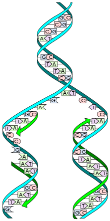 0400zikb-d343-220x443.png
