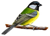 0400zkw6-dd51-178x126.png