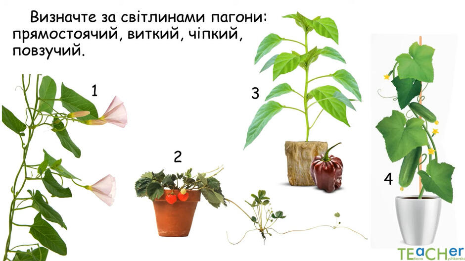 0400zldn-53ef-940x527.jpg