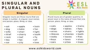 PLURAL NOUNS
