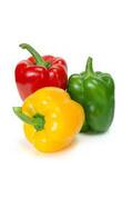 Bell Peppers: All About Them - Chili Pepper Madness