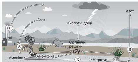 0400zwc7-759c-469x211.png