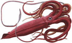 0400zxh0-6773-800x486.png