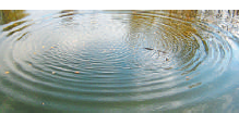 0401000s-ffc5-219x104.png