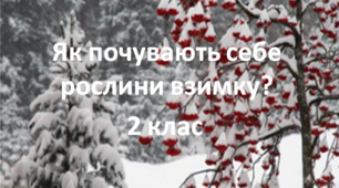 Як зимують рослини