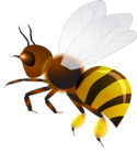 040105ww-1bc9-125x138.png