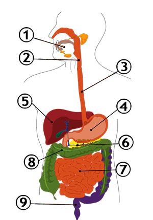 040106pg-b46e-300x430.png