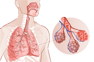 040107mg-7f76-400x267.png