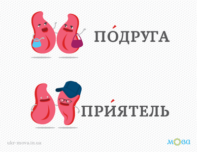 04010a94-cc74-400x309.png