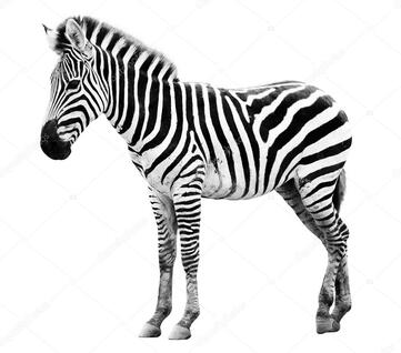 04010abs-465c-361x318.jpg