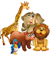 04010cge-0684-200x221.png