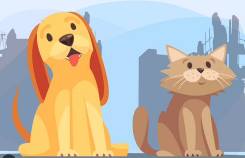 04010d0m-fc7d-500x322.png
