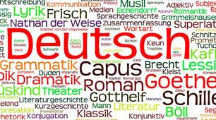 Die Deutschprofis A2 / Lektion 2 / Test