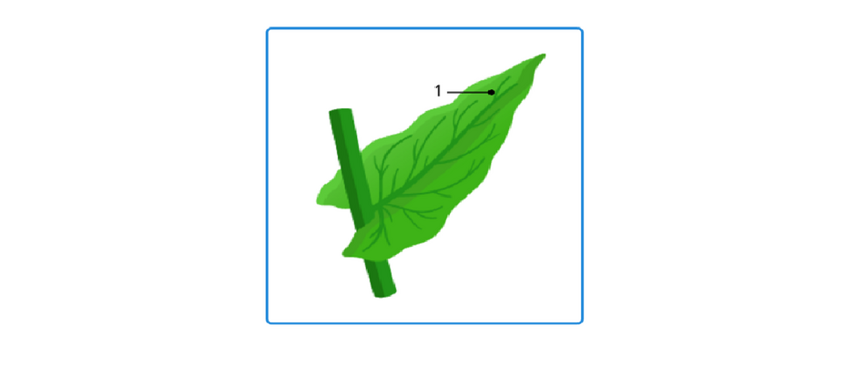 04010ejo-1682-940x412.png