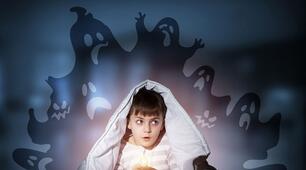 On Screen B1+( module 6-phobias) Test
