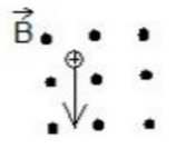 04010jn2-c78d-167x133.png
