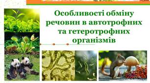 Презентація на тему "Особливості обміну речовин в автотрофних  та гетеротрофних    організмів"