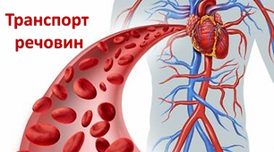 Транспорт речовин