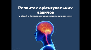 Презентація "Розвиток орієнтувальних навичок у дітей з інтелектуальними порушеннями"