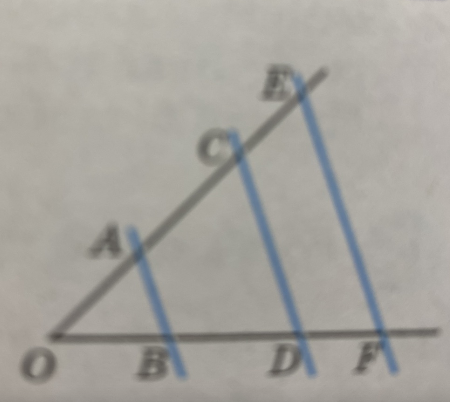 04010wwd-0512-450x402.png